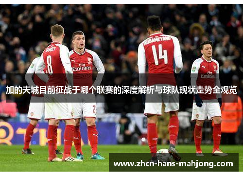 加的夫城目前征战于哪个联赛的深度解析与球队现状走势全观览