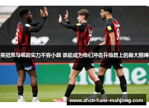 英冠黑马崛起实力不容小觑 谁能成为他们冲击升级路上的最大阻碍