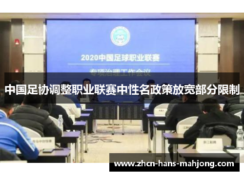 中国足协调整职业联赛中性名政策放宽部分限制