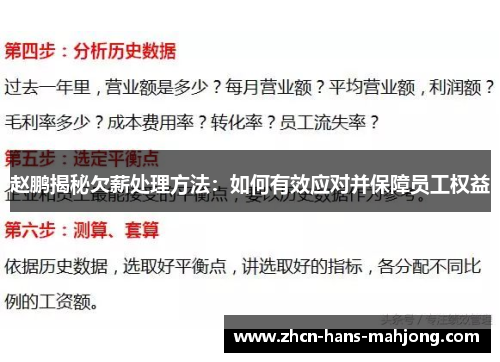 赵鹏揭秘欠薪处理方法：如何有效应对并保障员工权益