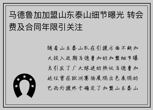 马德鲁加加盟山东泰山细节曝光 转会费及合同年限引关注 马德鲁加加盟山东泰山细节曝光 转会费及合同年限引关注